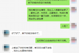 合肥为什么选择专业追讨公司来处理您的债务纠纷？